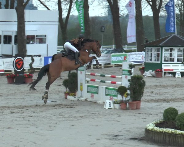 Lenklarer Reitertage 2016
