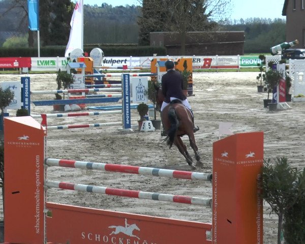 Lenklarer Reitertage 2016