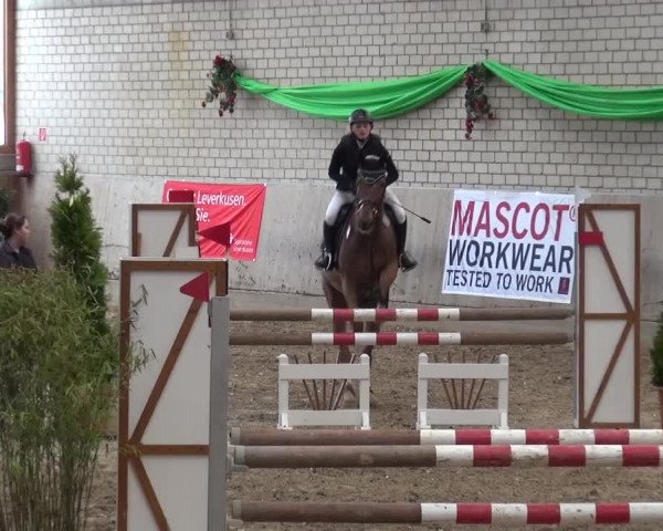 Reitturnier Leverkusen-Rheindorf 2016