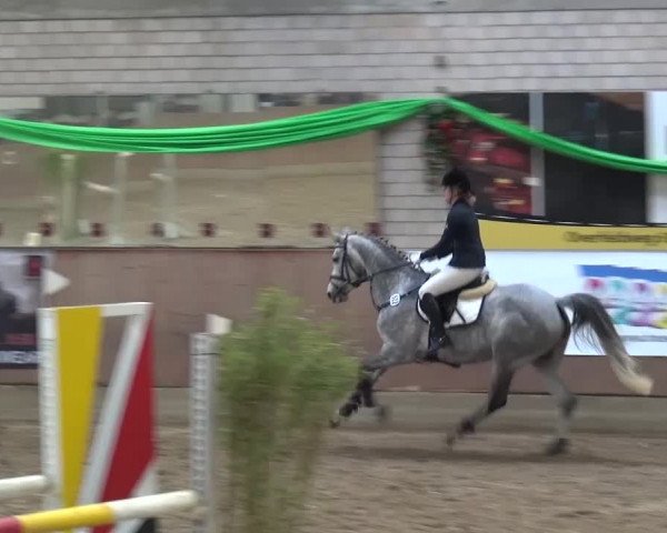 Reitturnier Leverkusen-Rheindorf 2016