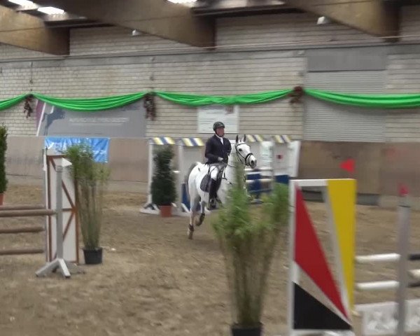 Reitturnier Leverkusen-Rheindorf 2016