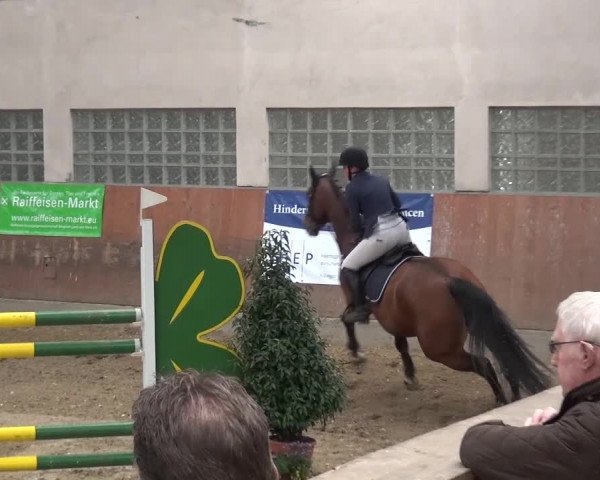 Reitturnier Leverkusen-Rheindorf 2016