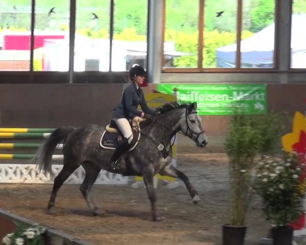 Reitturnier Leverkusen-Rheindorf 2016