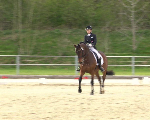 Reitturnier Vechta 2016