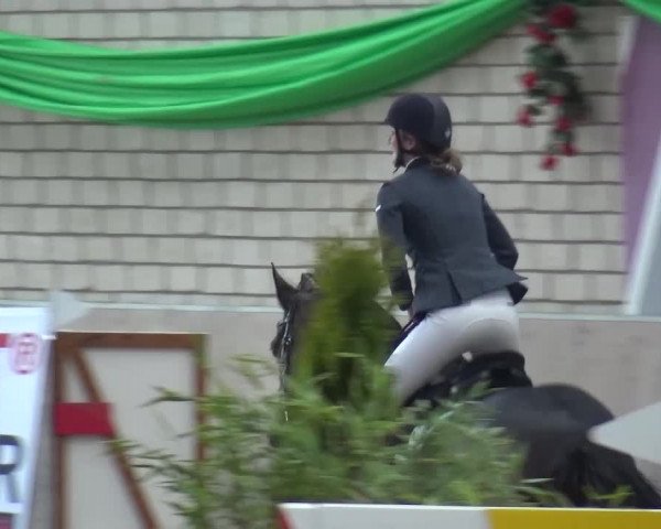 Reitturnier Leverkusen-Rheindorf 2016