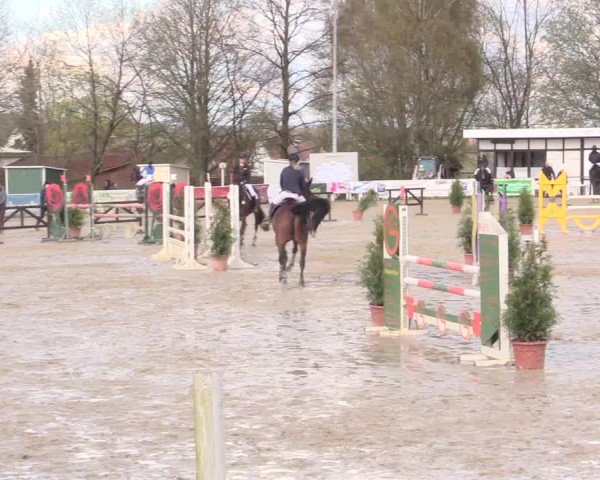 Reitturnier Spenge-Wallenbrück 2016