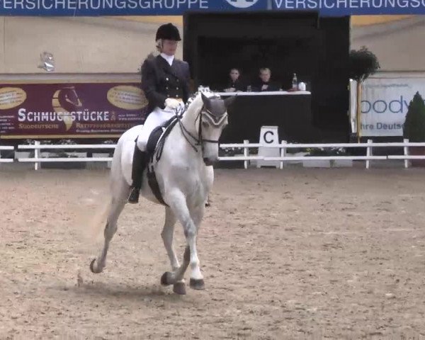 7. Pforzheimer Dressurtage 2016