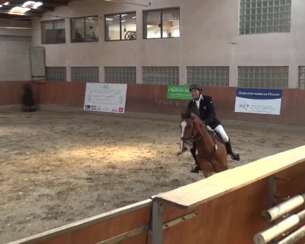 Reitturnier Leverkusen-Rheindorf 2016