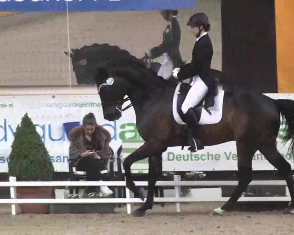 7. Pforzheimer Dressurtage 2016