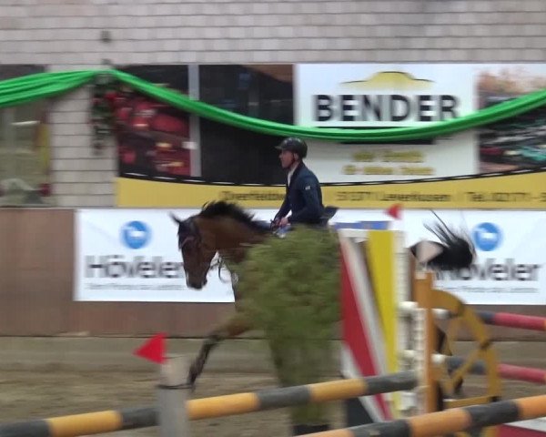 Reitturnier Leverkusen-Rheindorf 2016