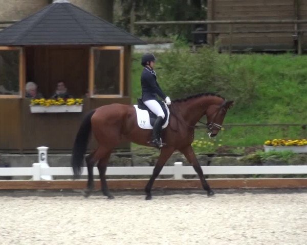Frühjahrsturnier Mettmann - Reitanlage Löckenhoff 2016