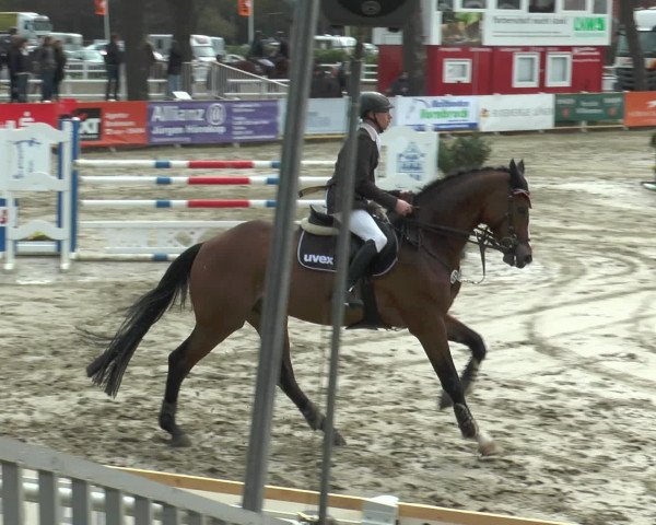 Reitturnier Werne-Lenklar 2016