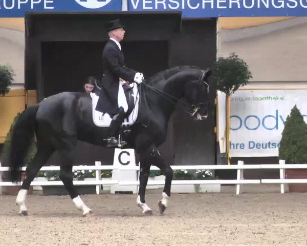 7. Pforzheimer Dressurtage 2016