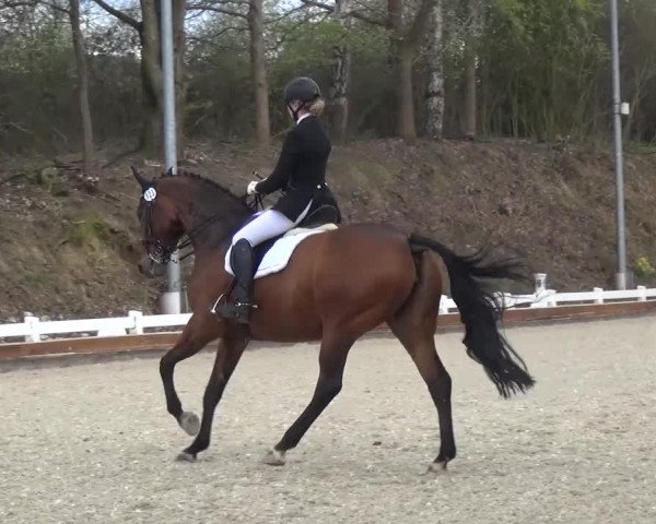 Frühjahrsturnier Mettmann - Reitanlage Löckenhoff 2016