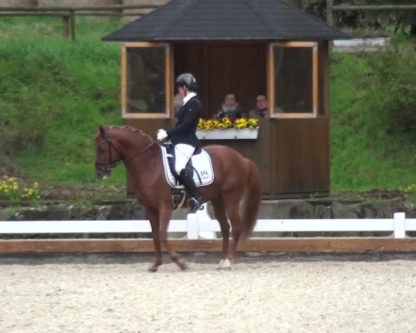 Frühjahrsturnier Mettmann - Reitanlage Löckenhoff 2016
