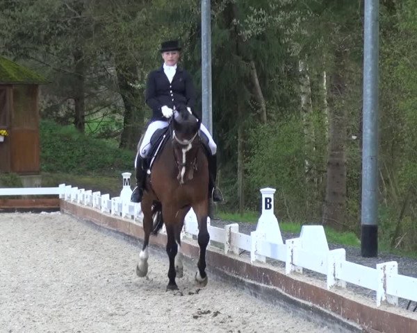 Frühjahrsturnier Mettmann - Reitanlage Löckenhoff 2016