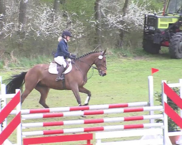Reitturnier Heide-Hochfeld 2016