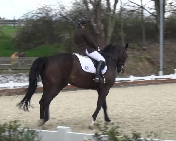 Frühjahrsturnier Mettmann - Reitanlage Löckenhoff 2016
