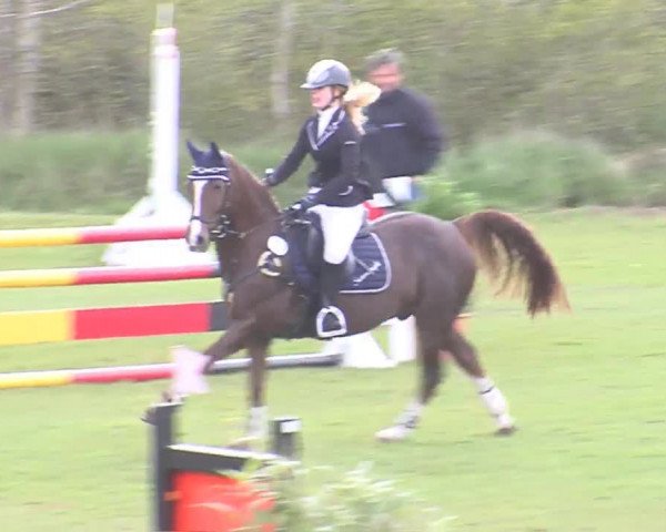 Reitturnier Heide-Hochfeld 2016