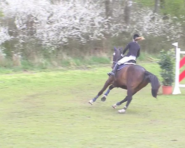 Reitturnier Heide-Hochfeld 2016