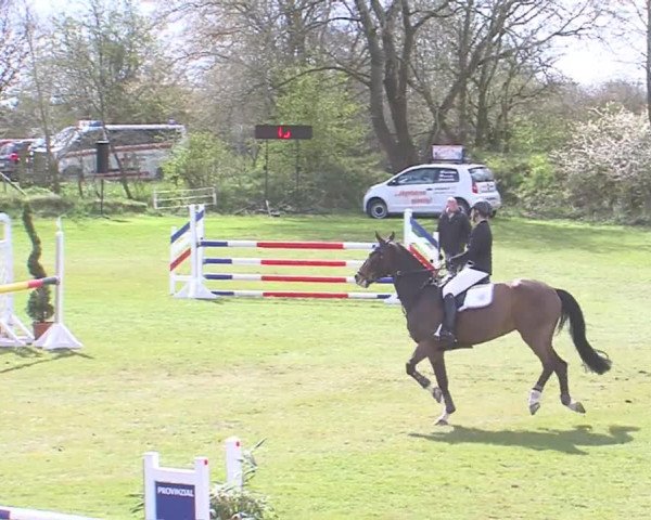 Reitturnier Heide-Hochfeld 2016
