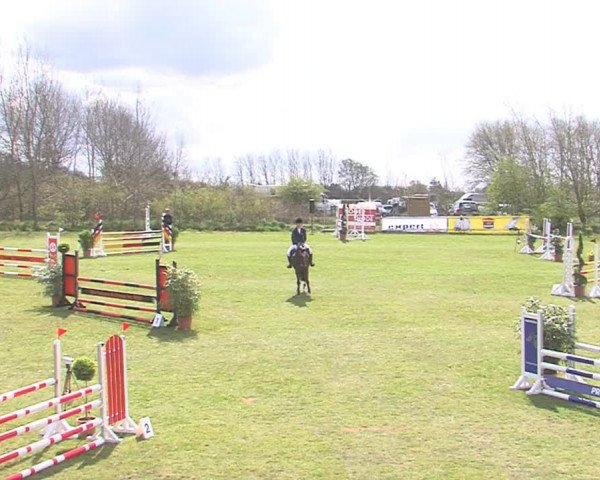 Reitturnier Heide-Hochfeld 2016