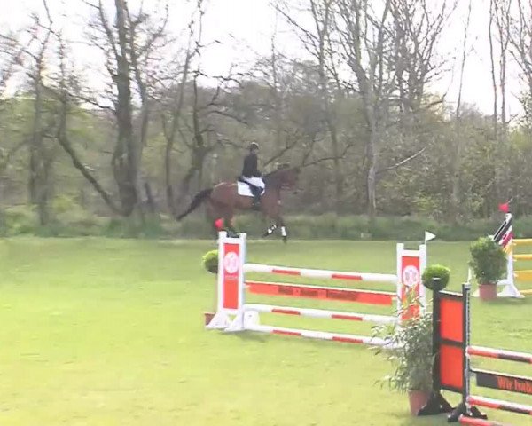 Reitturnier Heide-Hochfeld 2016