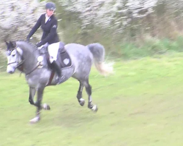 Reitturnier Heide-Hochfeld 2016