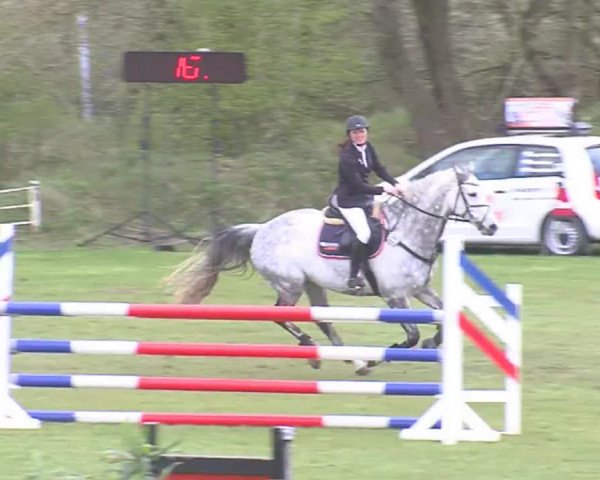 Reitturnier Heide-Hochfeld 2016
