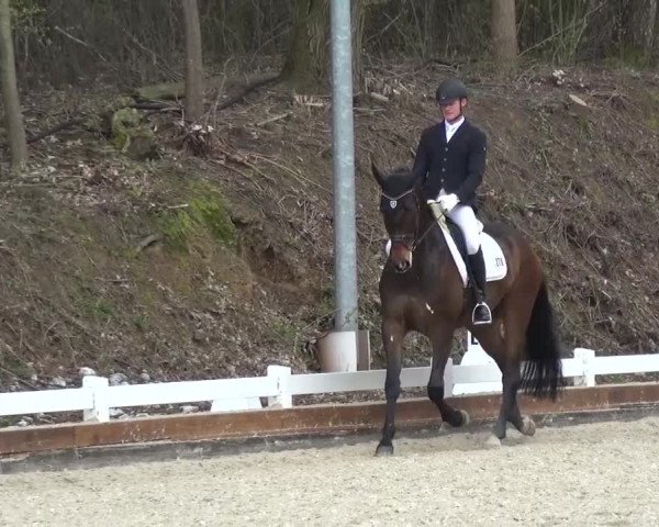 Frühjahrsturnier Mettmann - Reitanlage Löckenhoff 2016