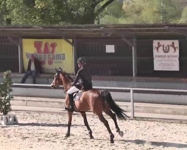 Frühjahrs-Reitturnier Ingolstadt-Hagau 2016