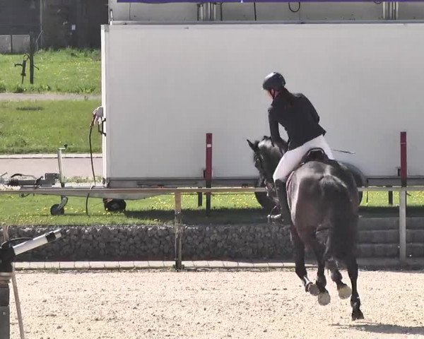 Frühjahrs-Reitturnier Ingolstadt-Hagau 2016