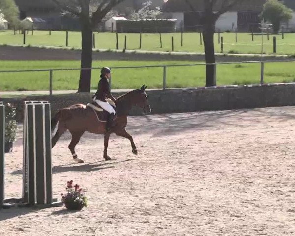 Frühjahrs-Reitturnier Ingolstadt-Hagau 2016
