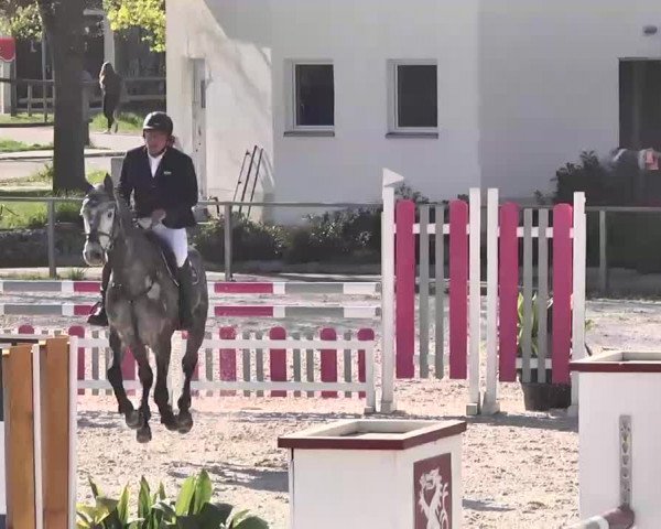Frühjahrs-Reitturnier Ingolstadt-Hagau 2016