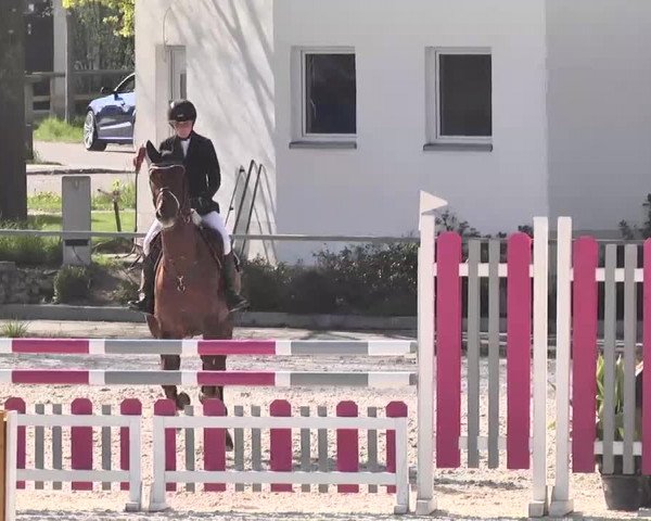 Frühjahrs-Reitturnier Ingolstadt-Hagau 2016