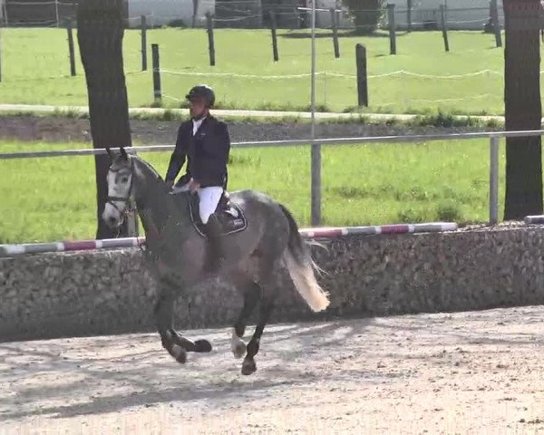 Frühjahrs-Reitturnier Ingolstadt-Hagau 2016