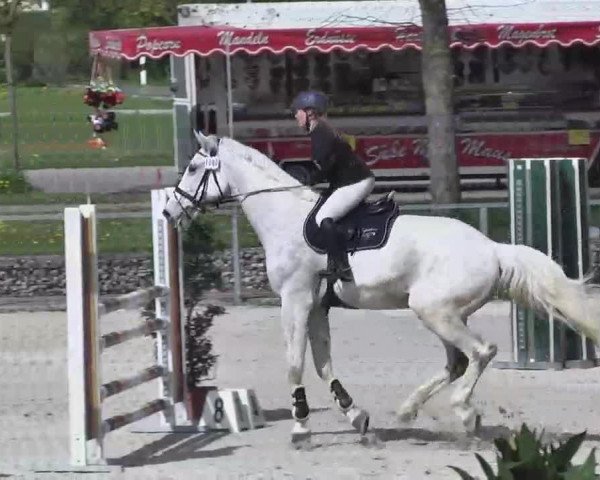 Frühjahrs-Reitturnier Ingolstadt-Hagau 2016