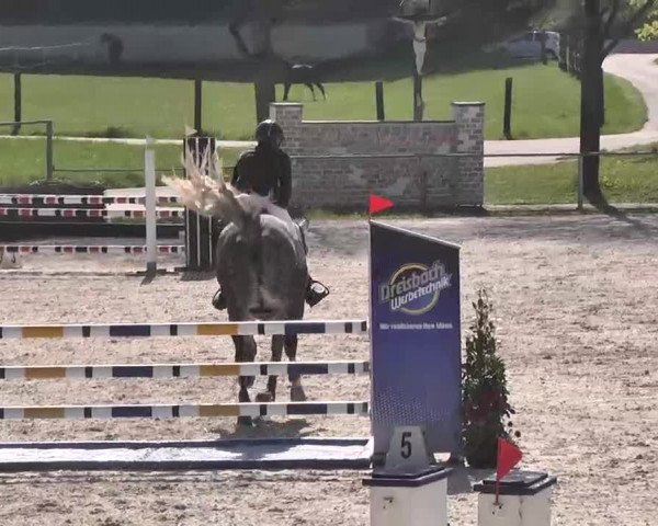 Frühjahrs-Reitturnier Ingolstadt-Hagau 2016