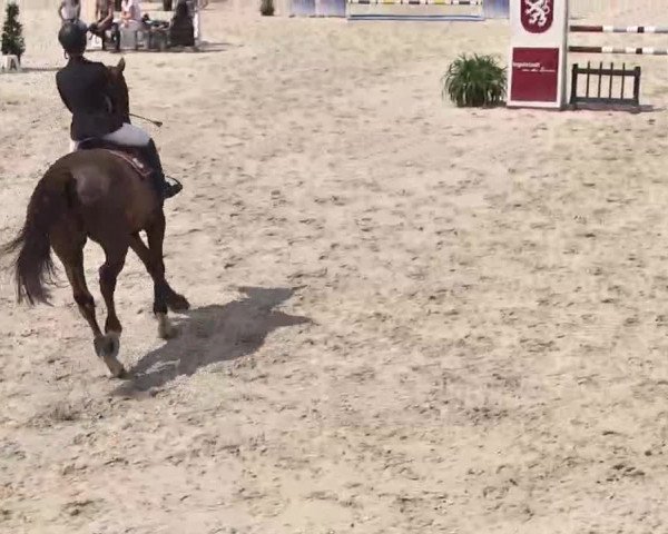 Frühjahrs-Reitturnier Ingolstadt-Hagau 2016