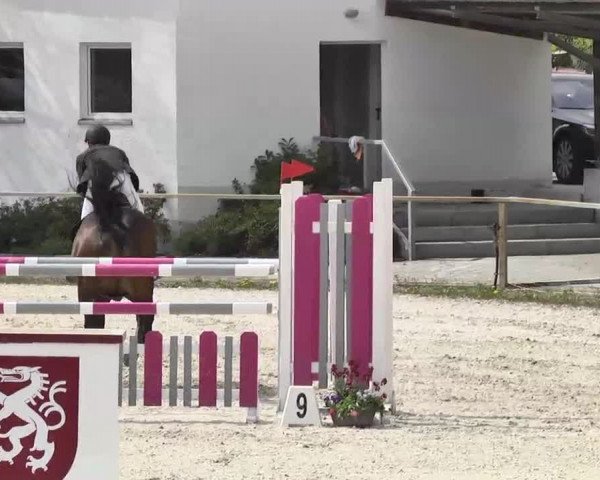 Frühjahrs-Reitturnier Ingolstadt-Hagau 2016