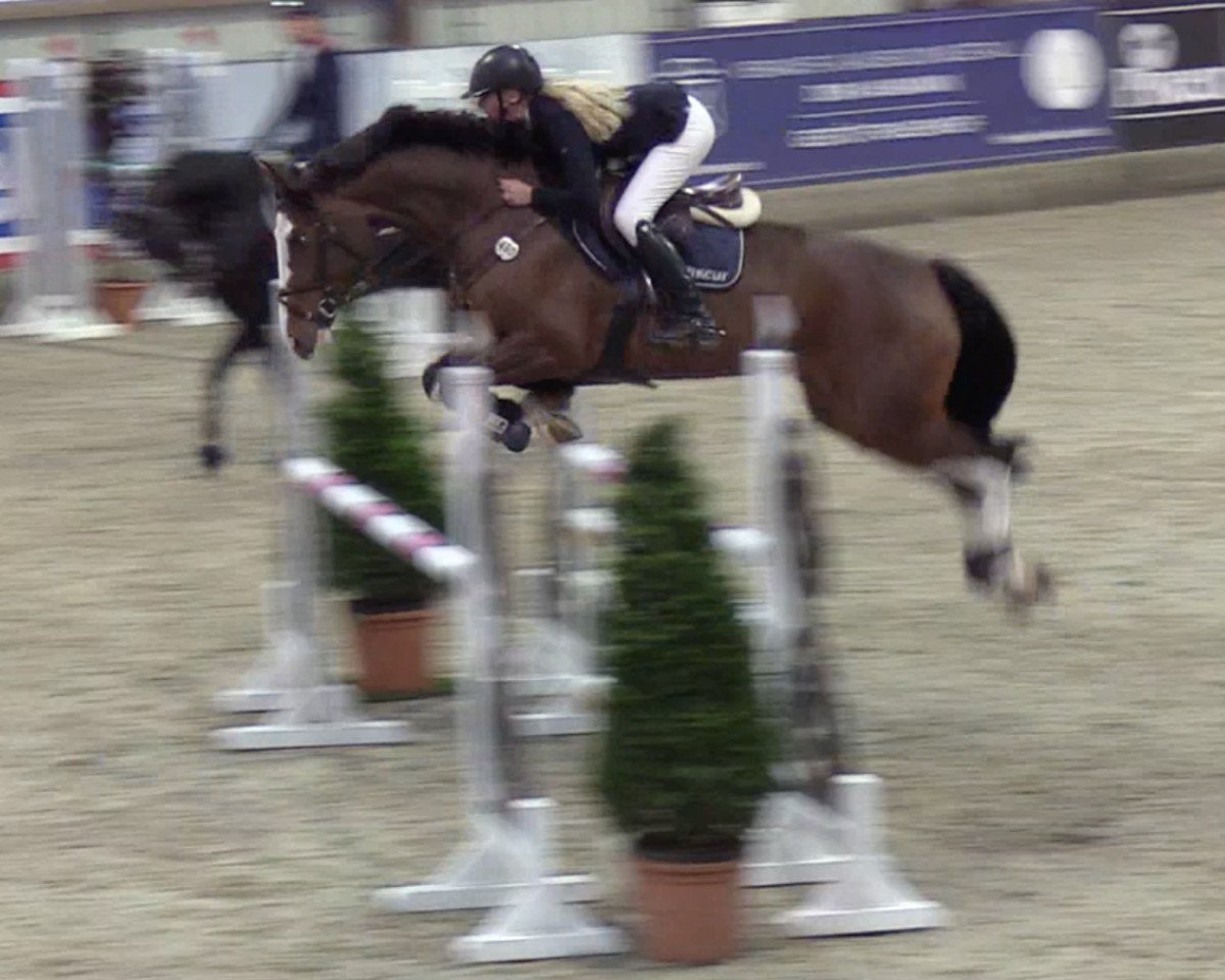 jumper Mythos (Holsteiner, 2013, from Cascadello)