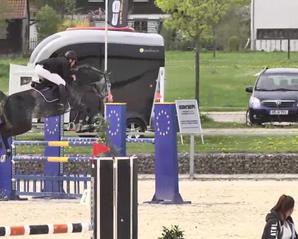 Frühjahrs-Reitturnier Ingolstadt-Hagau 2016