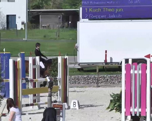 Frühjahrs-Reitturnier Ingolstadt-Hagau 2016