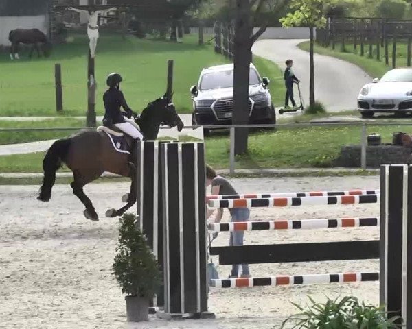 Frühjahrs-Reitturnier Ingolstadt-Hagau 2016