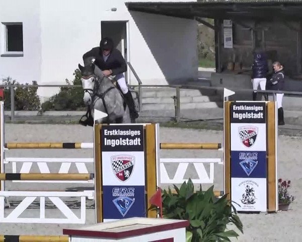 Frühjahrs-Reitturnier Ingolstadt-Hagau 2016