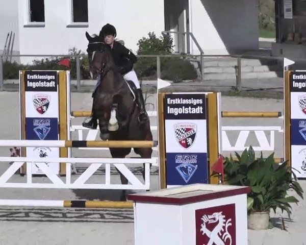 Frühjahrs-Reitturnier Ingolstadt-Hagau 2016
