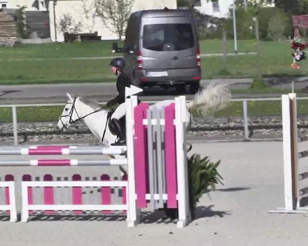 Frühjahrs-Reitturnier Ingolstadt-Hagau 2016