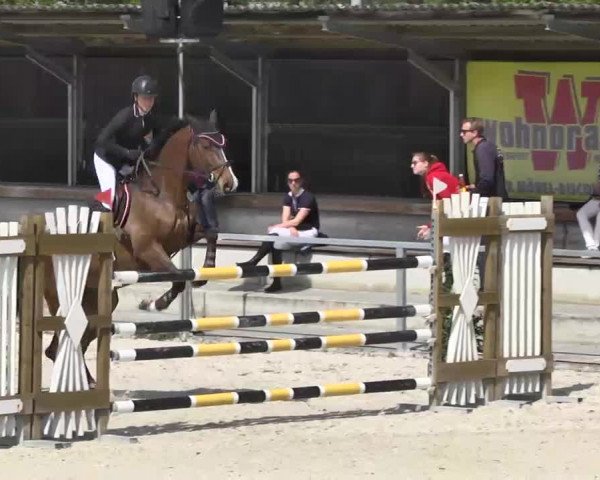 Frühjahrs-Reitturnier Ingolstadt-Hagau 2016