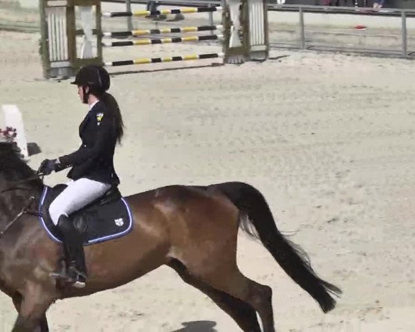 Frühjahrs-Reitturnier Ingolstadt-Hagau 2016