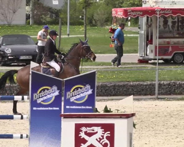 Frühjahrs-Reitturnier Ingolstadt-Hagau 2016